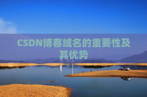 CSDN博客域名的重要性及其优势